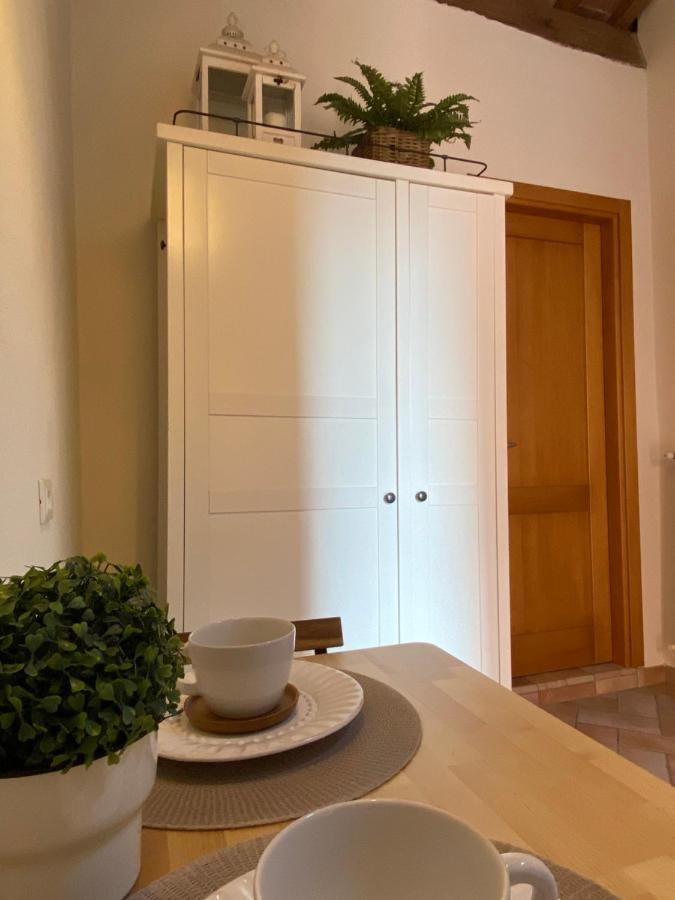 Bed And Breakfast La Bouganville Rosignano Marittimo Exterior photo